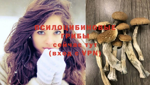 трава Алзамай