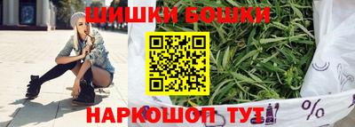 сатива Моздок