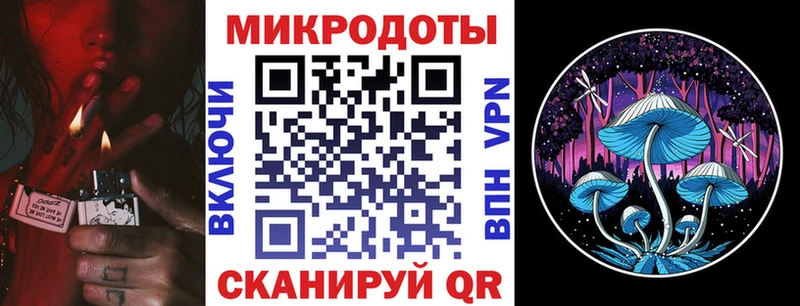 Псилоцибиновые грибы Psilocybine cubensis Боровичи
